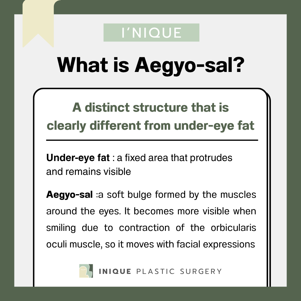What Is Aegyo-Sal? Understanding the Natural Under-Eye Smile Volume /Dolly eyes