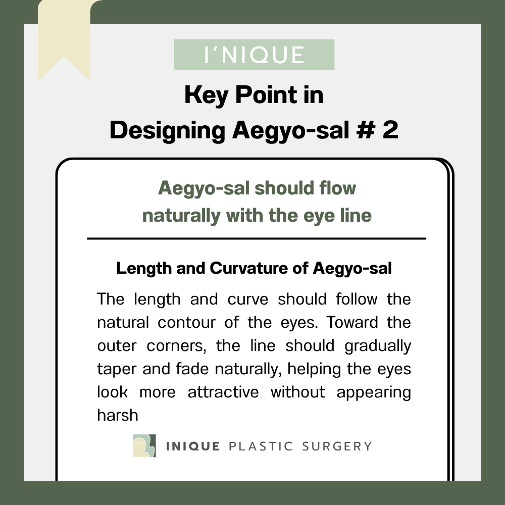 The Length and Curvature Should Flow Naturally with the Eye Shape