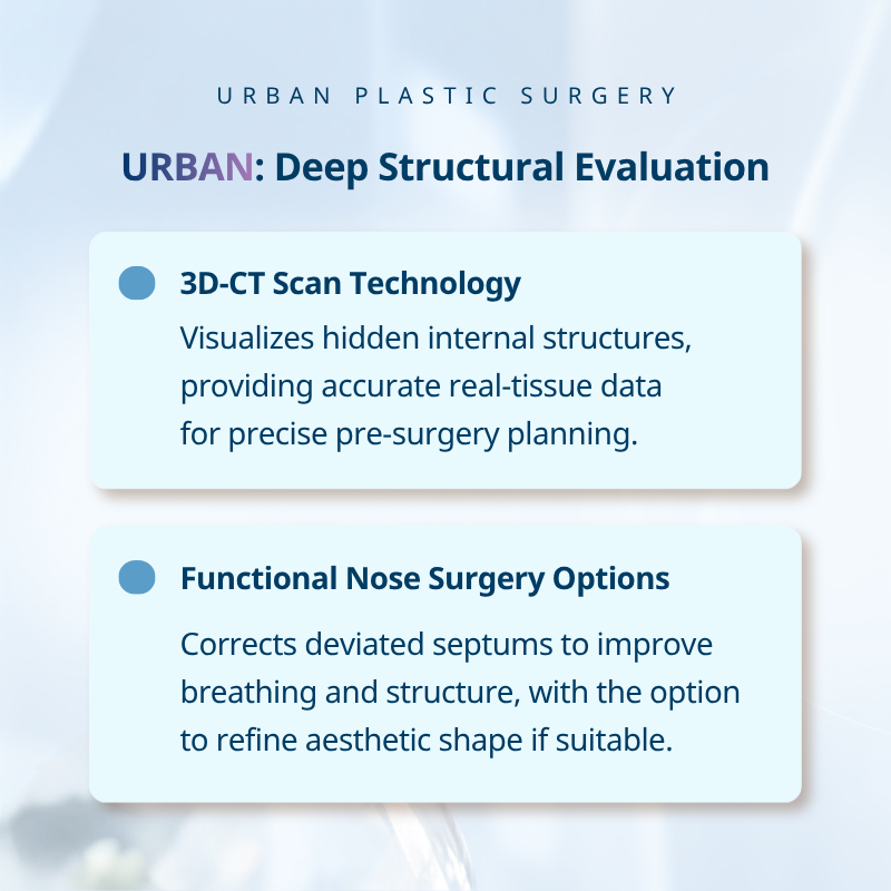 Assess the Internal Nasal Structure, Including the Septum