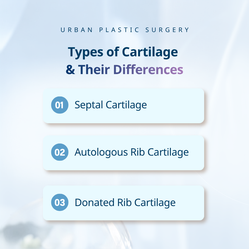 How Do Different Cartilage Options Compare, and Which Is Best for a Higher, More Beautiful Nose? : For High and Well-Defined Nose