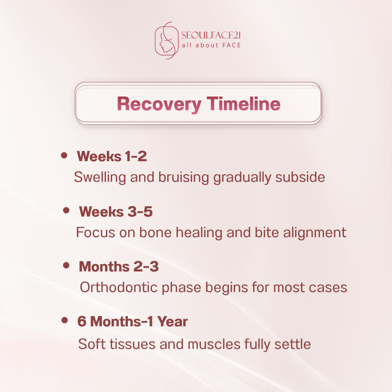 Jaw Surgery Recovery Timeline at SEOULFACE21: Healing Stages After Jaw Surgery in Korea