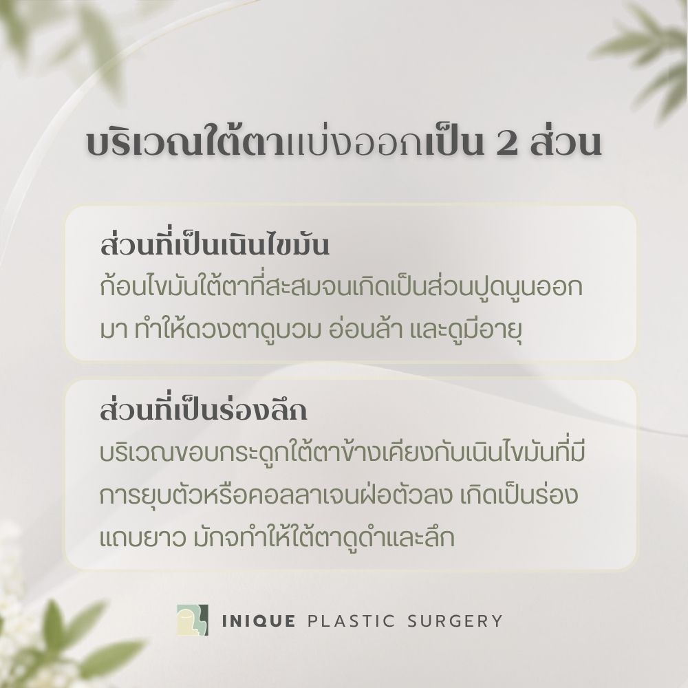 ทำไมใต้ตาถึงดูทั้ง “นูน” และ “ลึก” ได้ในเวลาเดียวกัน?