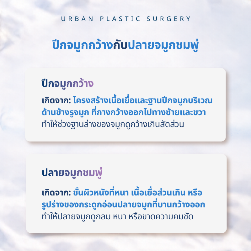 ปีกจมูกกว้างกับปลายจมูกชมพู่ ต่างกันอย่างไร?